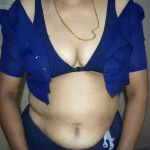 North indian wife sharee nude image