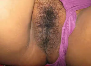 desi hairy pussy photo