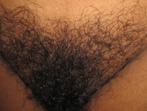 hairy pussy naked xxx