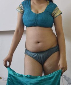 desi south indian bhabhi stripping saree