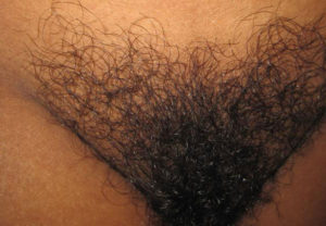 thick hairy bush